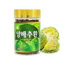 양배추환 양배추정