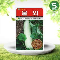 솔림텃밭몰 울외씨앗 20립 오이참외 나나스케 씨앗 종자, 단품