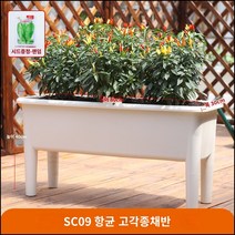 킹마이크로 플라스틱 항균 고족종 채소 화분 2세트 베란다 직사각 재함 하이풋 종채 야채 식재용, 단품