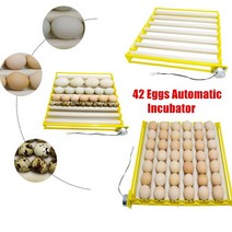 알부화기 병아리 계란 닭 큰농장 기계 42 부화장 계란 부화기 자동 회전 Brooder 치킨 메추라기 Incubator, 01 110V