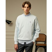 블루 퍼피자수 베이직 맨투맨 HZTS2D893B1