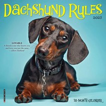 Dachshund Rules 2023 Mini Wall Calendar [Calendar]