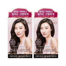 려 려 우아채 멋내기 새치크림 짙은 갈색 4N 120g 2개
