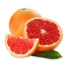 자몽, 10개, 자몽 대과 350g내외