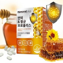면역 항균 프로폴리스 프로폴리스영양제