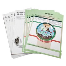 식물한살이 관찰보고서 만들기도안 5인 열매 놀이학습 생태블럭 활동 씨앗