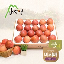 산지애 알뜰 못난이사과(중과) 4.5kg 1box / 경북산 미시마 못난이사과 흠집사과, 상세 설명 참조