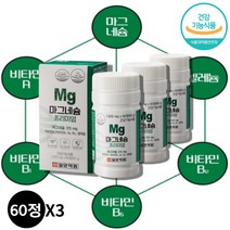 마그네숨 마그슘 마그네시움 약국 마그네슘 비타민B1 비타민 B2 B12 A 영양제, 마그네슘 60정 x3통