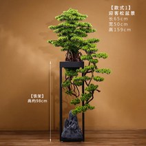 대형 단풍나무 분재 해송 화분 호텔로비 야외 인조 청송분 장식, N.미인 송분경 모사 오른쪽