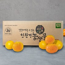 [아이원세븐] [해피농] 제주직송 유기농 하우스밀감 10kg/120내외, 상세 설명 참조