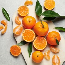 [빛과나무] 탑푸르트 공샘이 제주감귤 5kg(40-46입내/L), 상세 설명 참조