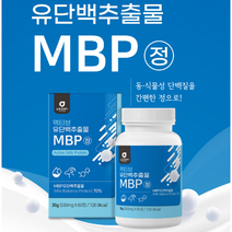 MBP 유단백추출물정 산양유단백 분말 엠비피 동물성 단백질 식물성 단백질 산양유 초유 단백 분말 완두단백 락토페린 농축물 엠피비 유단백추출물 mbp, 2통