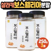 인디안프랑킨센스 보스웰리아 50대 군인 소방관 선물 보스윌리아 30대 직장인 취미운동 축구 농구 수영 40대 중년남성 여성 전업주부 SHALLAKI 할아버지 할머니 생일 생신