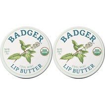 뱃저 립 버터 20g, 2개, Cool Mint