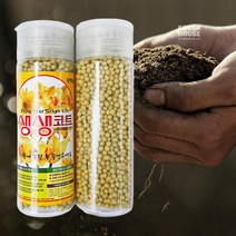 KT 생생코트 에스코트 (대) S코트 식물 화초영양제