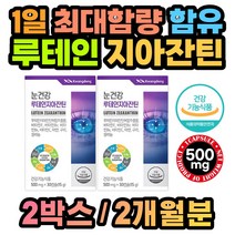 식약처인증 눈 건강 영양제 루테인 지아잔틴 x2통 아동 노인 부모님 어르신 수험생 학생 고등학생