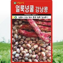 얼룩넝쿨강낭콩 씨앗 넝쿨강낭콩 씨 종자 30g, 1개