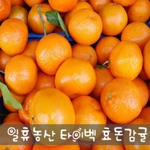 새콤달콤 고당도 효돈감귤(타이벡) 비가림 5kg - 주문당일선별발송, 5kg 중간귤