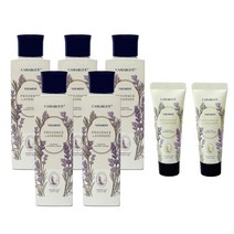 프랑스 까마르그 솔트 스크럽 바디워시 라벤더 250ml *5개 샘플25g*2개