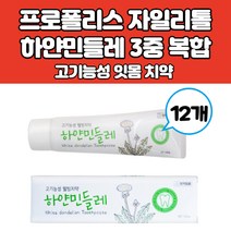 시린이치약 잇몸치약 천연 잇몸에 좋은 식물성 자연 유래 기능성 치약 프로폴리스 하얀민들레추출물 자일리톨 함유 8가지 유해성분 무첨가 프로폴릭스치약, 12개, 150g