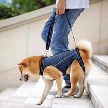 다리 대형견 하네스 슬개골 뒷다리 재활 보조기구, 네이비 블루 L
