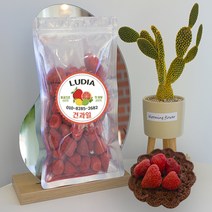 루디아건과일 동결건조딸기칩 건딸기 120g, 1개
