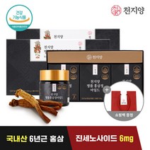 천지양 명품 홍삼정 마일드(100g x 3병) 2박스 쇼핑백증정, 명품홍삼정마일드 2박스