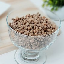 인삼 씨앗 새싹 삼 키우기 효능 먹는법 지피식물 모종 씨 100g