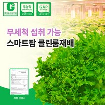 무농약 친환경인증 국내산 스마트팜 수경재배 유기농 유럽샐러드 채소 프릴아이스 500g