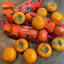 창원 진영 함안 단감 10kg 햇단감, 1box, 봉지단감(대과) 5kg