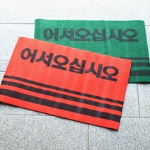 통현관카펫매트_로고_40x60 발판 물흡수매트 먼지유입방지매트, 색상:그린, 단품