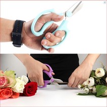 분재용가위 꽃꽂이 꽃 혹 접목 정원 포도 원예용 꽃집 가위