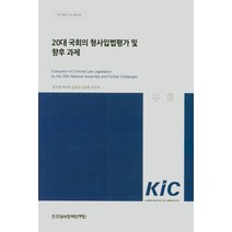 20대 국회의 형사입법평가 및 향후과제, 한국형사정책연구원, 9791189908683, 윤지영 저
