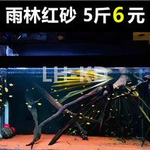 어항 우림사 밑모래 열대어 남미 삼호 자비심 레인보우 레이룽 조경사 레드 화산 모래다 시냇물 4719454900, 레드 불 산사 5근