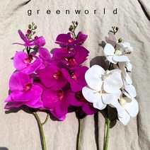 그린월드 조화 호접란가지_3color, 호접란잎