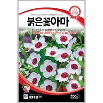 붉은꽃아마 200립 / 씨앗 종자 꽃씨 꽃밭 화단