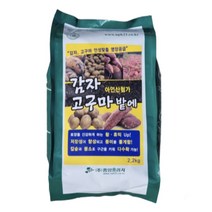 마늘 감자 고구마 전용 비료 2.2kg 구근 밑거름 식물 비대 영양제 + 자재스토어 전용장갑셋트, 2.5kg 1봉