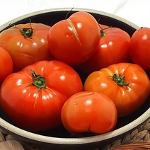 프레쉬하루 못난이 쥬스용 토마토 3kg 1박스, 못난이토마토 3kg(2~4번과)