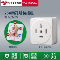 콘센트플러그 10L4 넘어져도 깨지지 않다 10A 두발 양극 납작함 공업 가철 전원 4887645200, 1, GN -Z25 (삼상사선 25A 노출