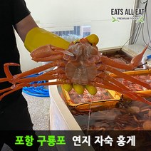 이츠올릿 구룡포 자숙 홍게 3kg 속초 포항 홍개 주문진 영덕 박달 대게, A급 중소 3kg 11미 (수율 70%내외), 1개