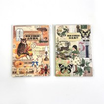 리리월드 빈티지 감성 다꾸 스티커북 PET 다이어리 스티커 세트 2개입, 빈티지 데코 스티커북 그린+옐로우(40매입)