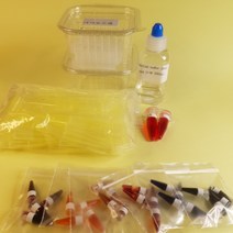 미니 전기영동 실험키트 리필 10인용 4종[전기영동의 원리 범죄과학 제한효소(PTC미맹) 바이러스PCR][라이프 사이언스 에듀랩]