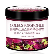 푸른들판 20배 농축 콜레우스 포스콜리 추출 분말 가루 100%, 160g, 1통
