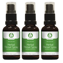 키위허브(KIWIHERB) 키위허브 허벌 쓰로트 (목) 스프레이 30ml X 3개, 90ml, 1세트