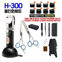 T-PEOS 올인원 홈컷 세트 HOMECUT SET H-300 전기 이발기 바리깡 (컷트보 + 가위 2종 + 컷트스폰지) 올인원 ALL IN ONE