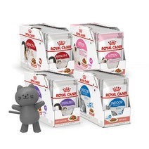 로얄캐닌 캣 파우치 85gx12개 4종, 02.키튼 85gx12개