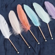 핌스토리 베이직 깃털볼펜, 코랄