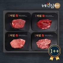 [정직하누] 농협안심한우 투뿔 혼합2호세트 1.6kg (꽃등심 불고기 장조림 국거리) 1++, 1++등급