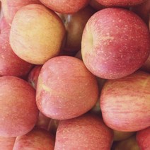 부사 꿀 사과 10kg 햇 못난이 가정용 쥬스용 5kg 고당도 경북, 가정용 부사 중소과 (39-43과)10kg