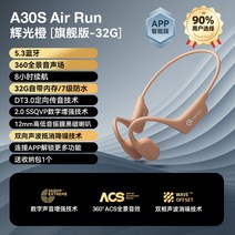 가성비 골전도 이어폰 무선 블루투스 핸즈프리 이어셋 오픈형 방수 귀걸이형, 정부표준배치, 옵션6